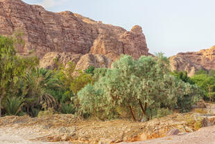 Beduinengarten im Sinai Gebirge - Ägypten Sehenswürdigkeit