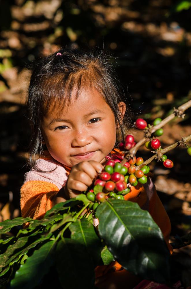 Mädchen auf einer Kaffeeplantage