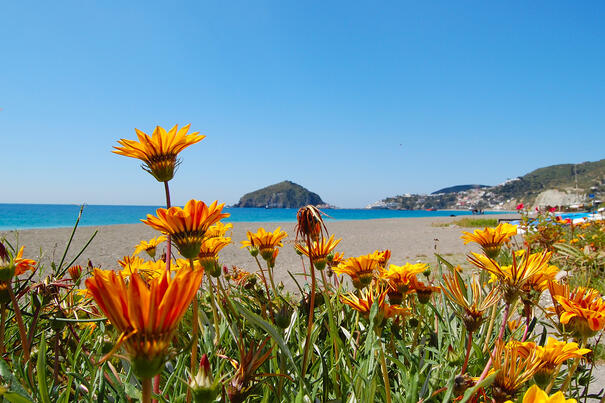 Maronti Strand in Ischia