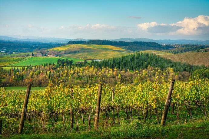 Landschaft mit Weinbergen im Chianti Gebiet