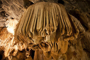 Decke der Cango Caves
