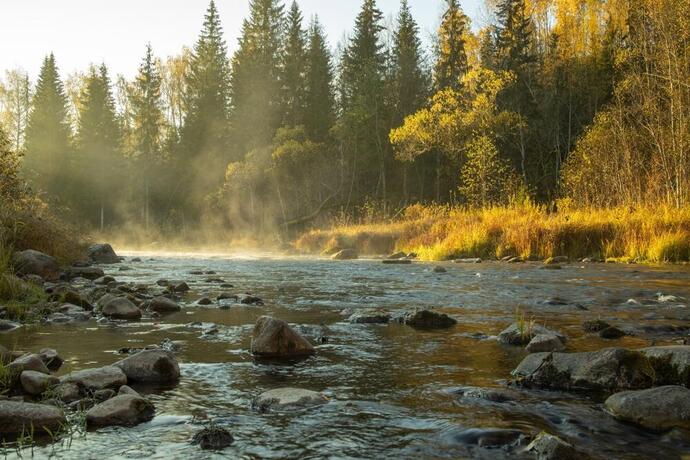Fluss Amata 