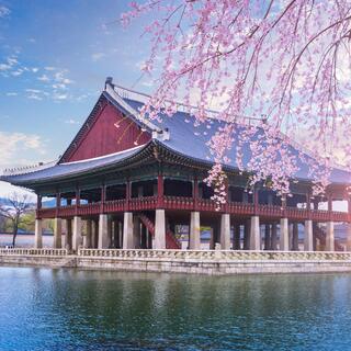 Gyeongbokgung Palast im Frühling