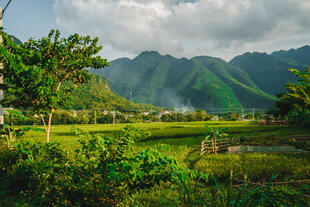Mai Chau Tal
