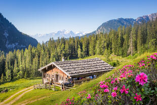 Berghütte in den Alpen