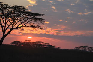 Farbenspiel am Himmel über Tansania