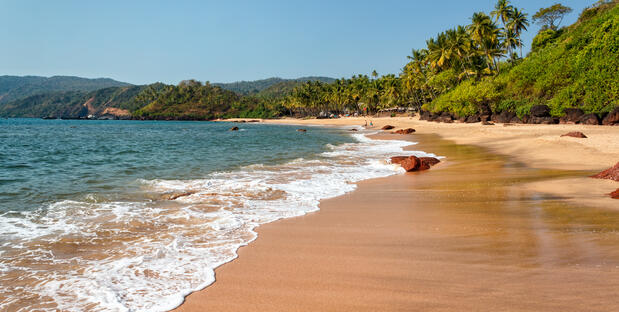Palmaenstrand in Goa
