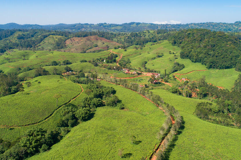 Bergpanorama der Usambara Bergregion