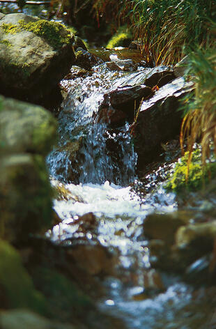Wasserquelle