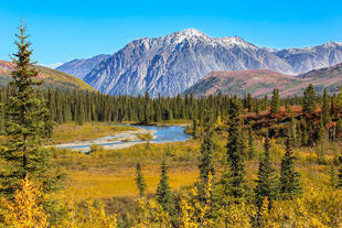 Denali Nationalpark 