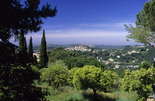 Landschaft in Cagnes-Sur-Mer