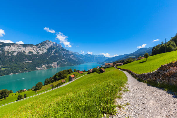 Panoramasicht Walensee