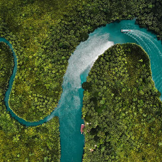 Fluss durch Regenwald auf Bohol