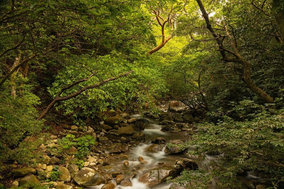  Rincón‑de‑la‑Vieja‑Nationalpark