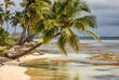 Strand auf der Insel Ambergris Caye