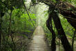 Tenorio Nationalpark