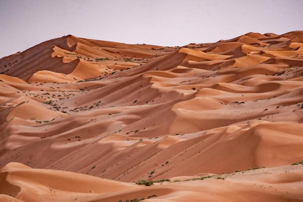 Wahiba Wüste