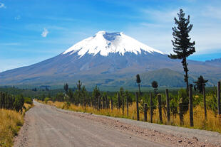 Straße zum Vulkan Cotopaxi