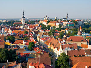 Blick auf Tallinns Altstadt 