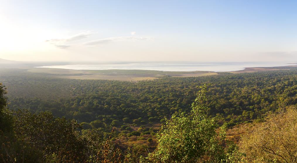 Panorama vom Lake Manyara Nationalpark