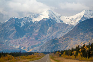 Haines Junction 