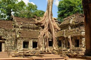 Tempel Ta Prohm