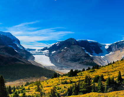Wilcox Pass 