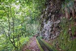Levada dos Cedros