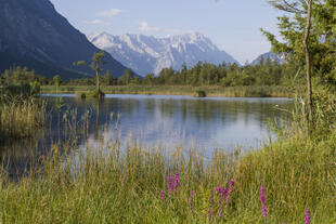 Loisachtal bei Eschenlohe
