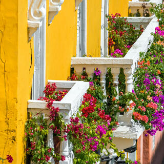 Mit Blumen verzierte Balkone in Cartagena