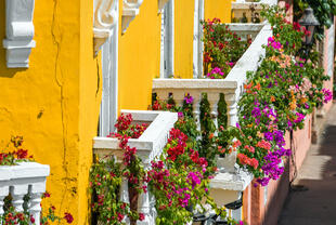 Mit Blumen verzierte Balkone in Cartagena