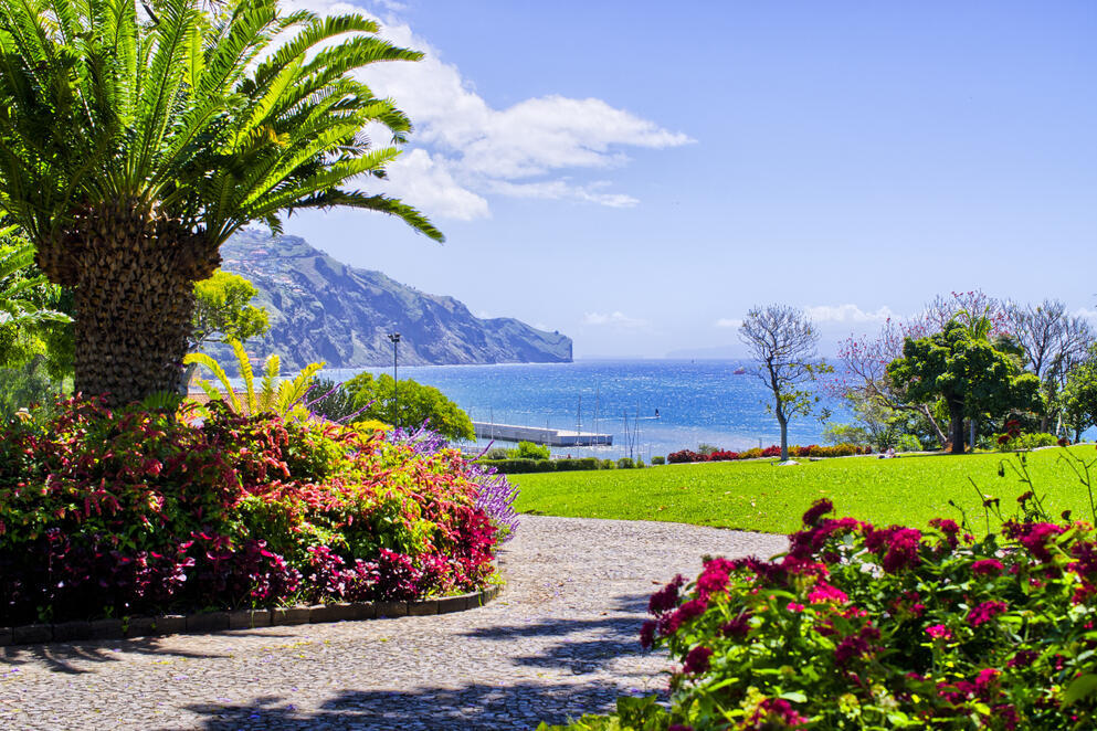 Park in Funchal