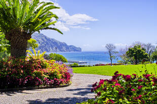 Park in Funchal