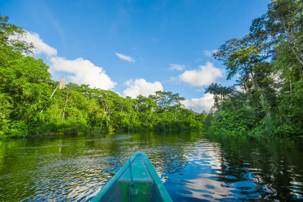 Regenwaldregion am Amazonas