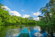 Regenwaldregion am Amazonas