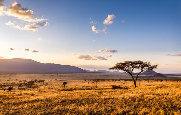 Sonnenuntergang im Tsavo East