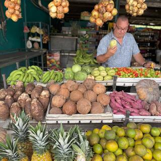 Fruchtstand in Costa Rica