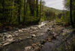 Lagodechi Nationalpark