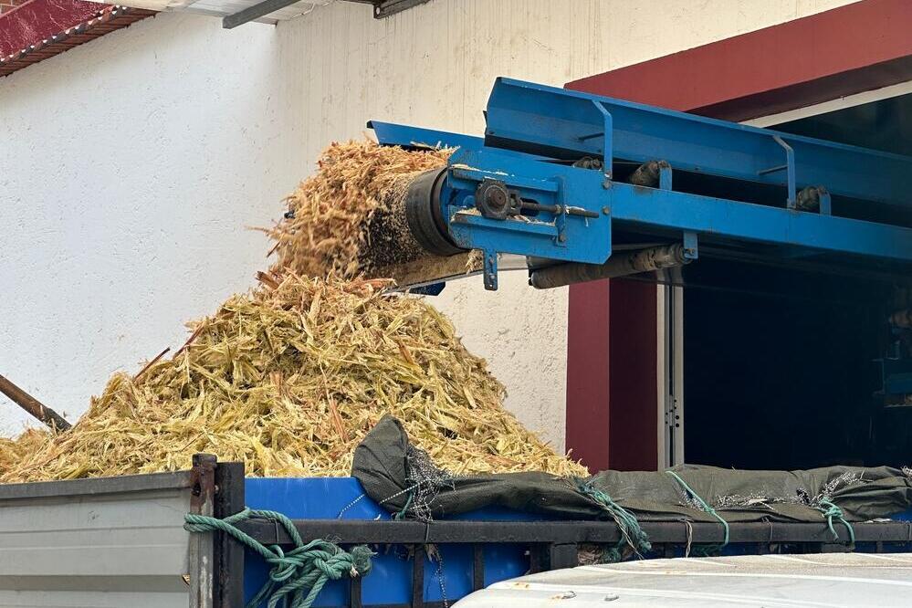 Verarbeitung von Zuckerrohr