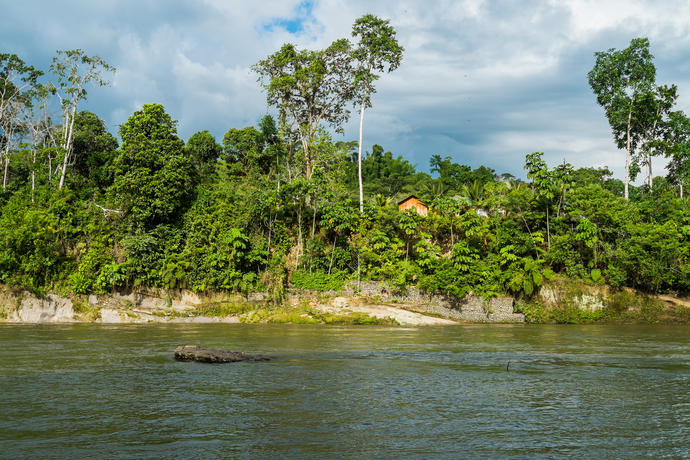 Rio Napo im ecuadorianischen Amazonas