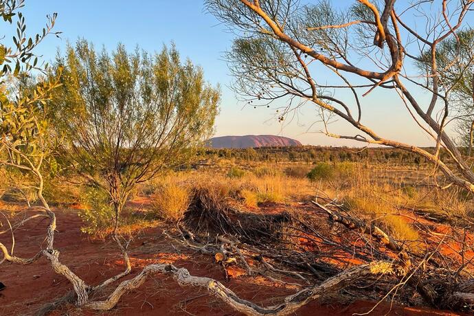 Blick auf den Ayers Rock (Uluru) im Outback auf einer Australien Rundreise