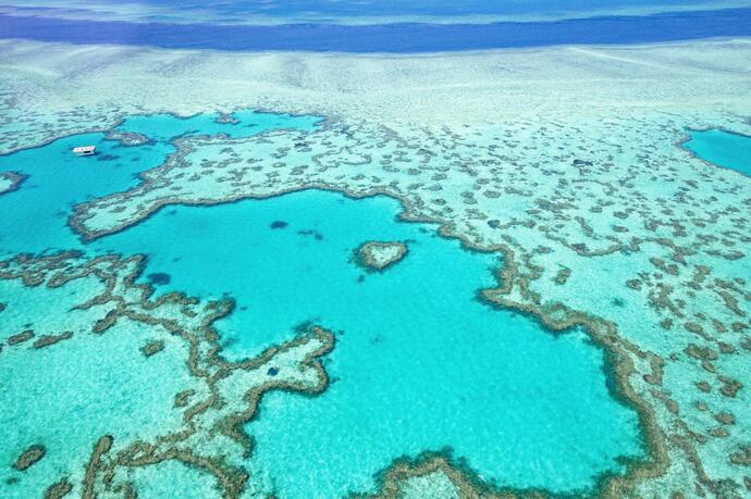 Das Great Barrier Reef in Australien