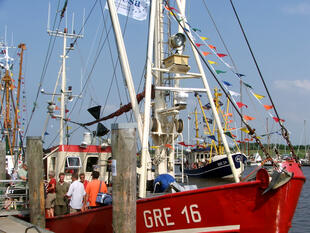 Fischkutter im Hafen von Greetsiel