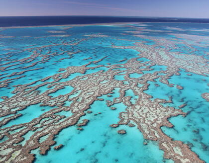 Great Barrier Reef 