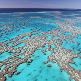 Great Barrier Reef 