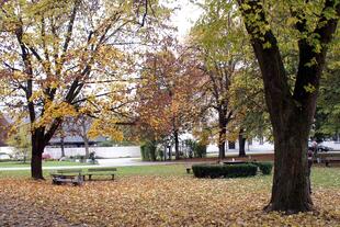 Herbstlicher Klostergarten  