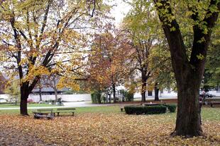 Herbstlicher Klostergarten  