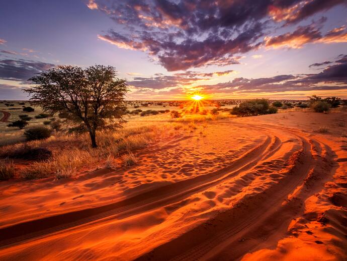 Kalahariwüste