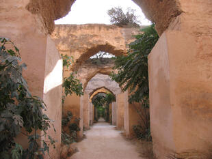Meknes 
