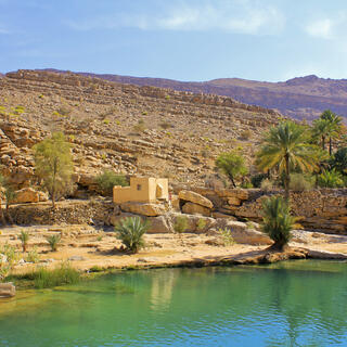 Wasserteich in Wadi Bani Khalid